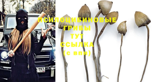 MESCALINE Бородино